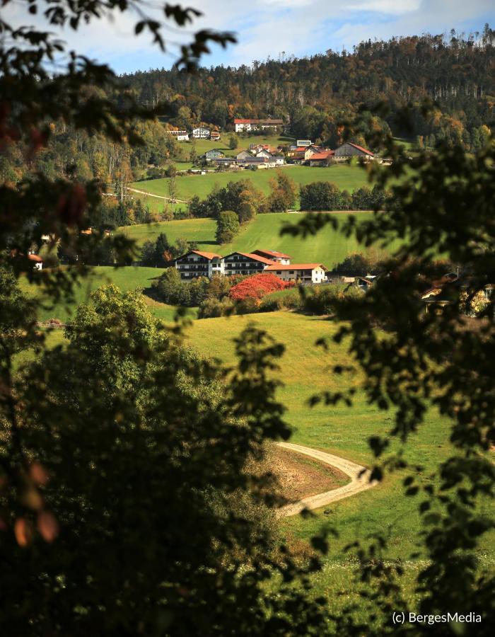 Appartement Hauzenberg-Panorama المظهر الخارجي الصورة
